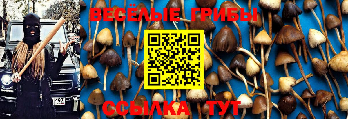 Амурск  Галлюциногенные грибы прущие грибы  Псилоцибиновые грибы Psilocybe  Вход с VPN 
